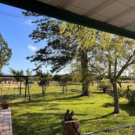 Villa Quinta Dos Viegas Distrikt Distrikt Faro Exterior foto