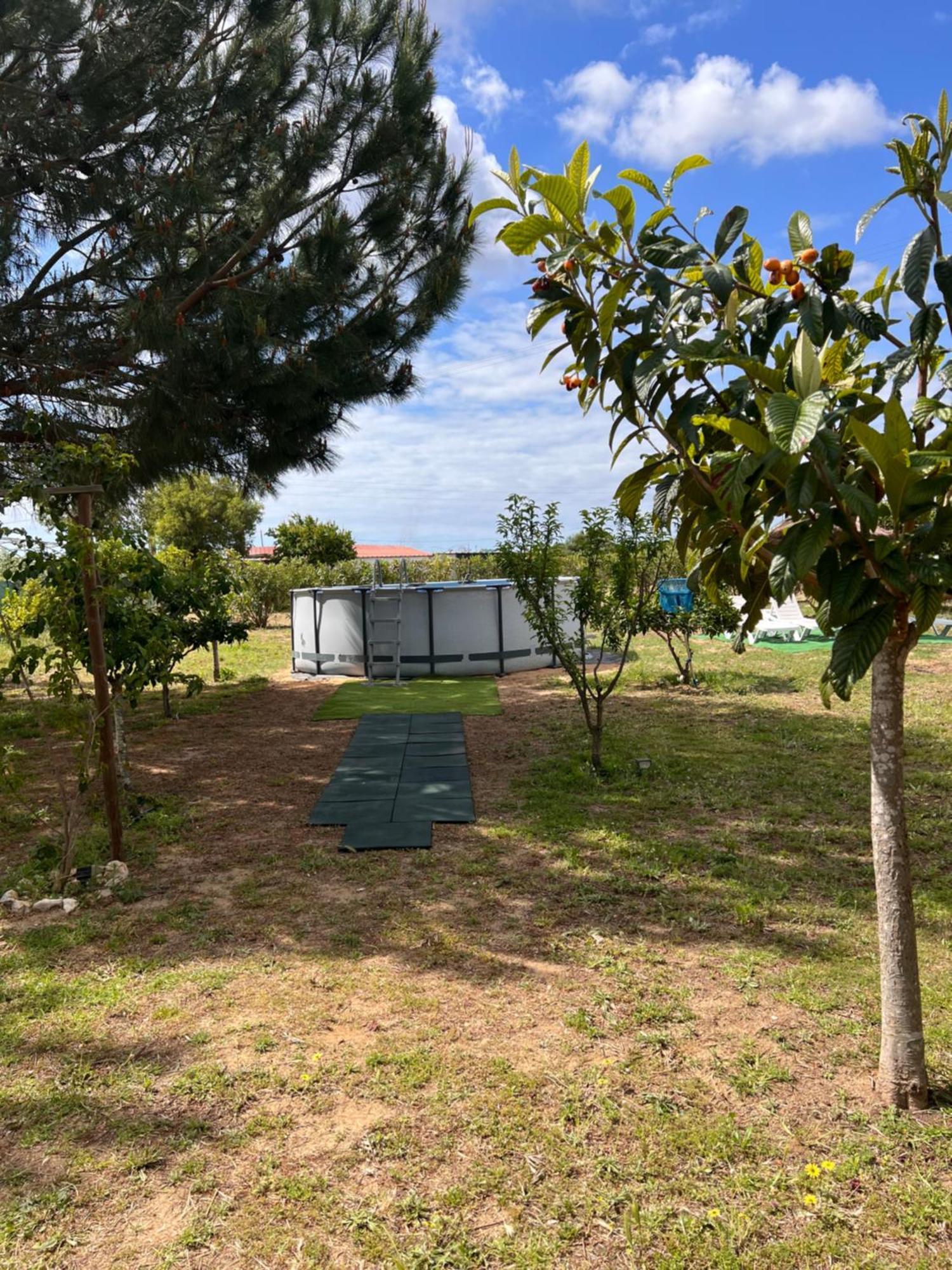 Villa Quinta Dos Viegas Distrikt Distrikt Faro Exterior foto